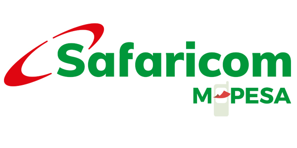 Payment Partner